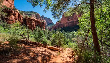  West Fork Trail